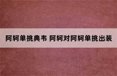 阿轲单挑典韦 阿轲对阿轲单挑出装